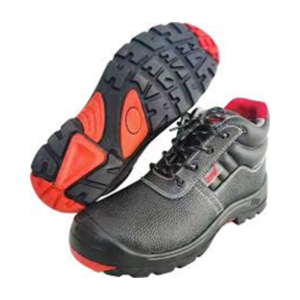 Untitled design - 2025-09-29T140951.785