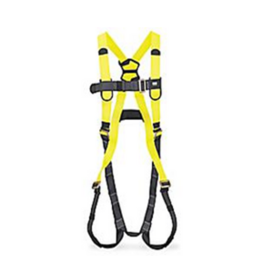 Untitled design - 2025-09-29T141239.235